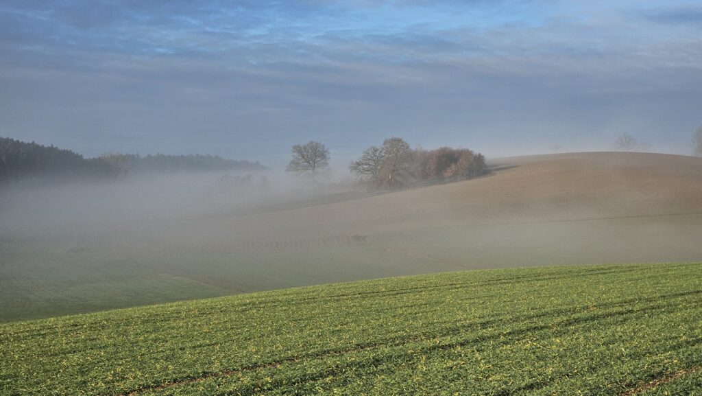 Nebel über Hügeln und grünen Feldern im Winter