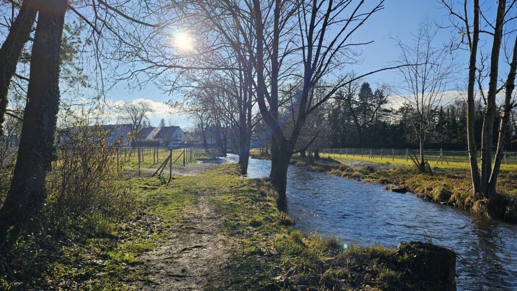 Pfad entlang eines Bachs im Gegenlicht der Wintersonne