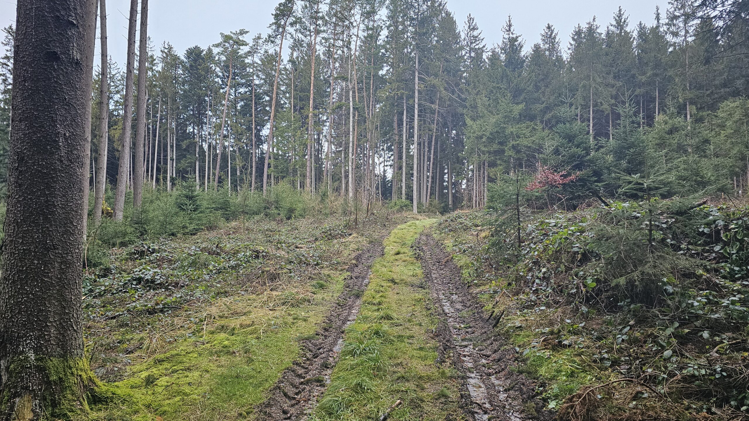 Eine Herausfordernde GravelTour im Dachauer Hinterland » Tour, Wetter, Dachauer, Hinterland