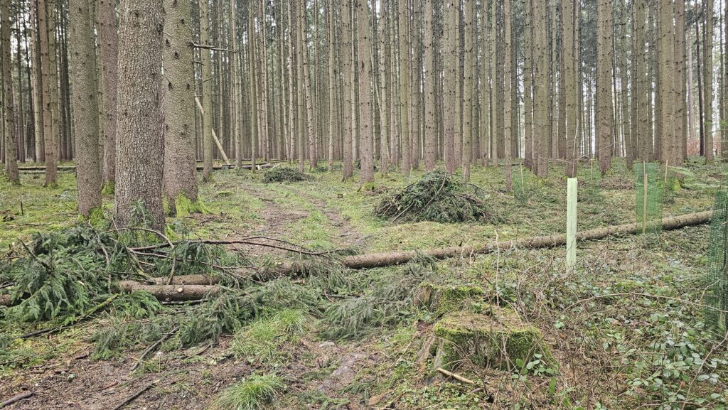 Eine Herausfordernde GravelTour im Dachauer Hinterland Gravelbiken & Wandern