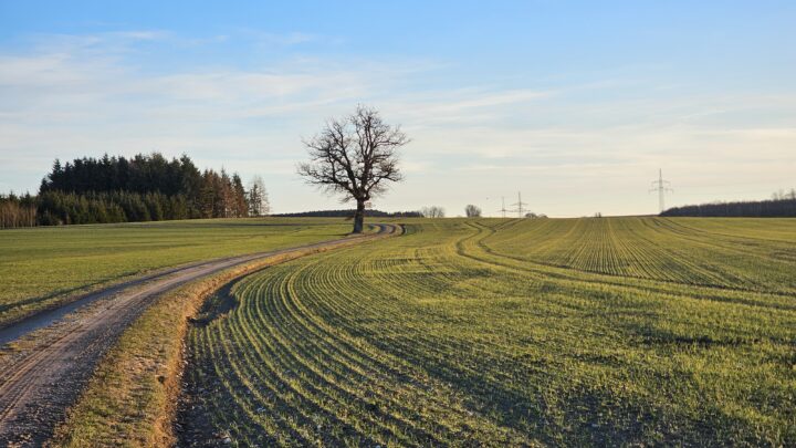 Ein halber Tag auf dem Gravelbike: 120 km von München zum Lech und zurück