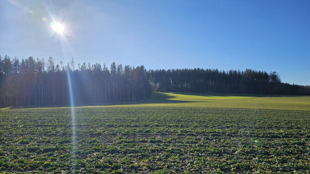 Weites Feld vor Waldrand in der Wintersonne auf dem Weg zum Lech