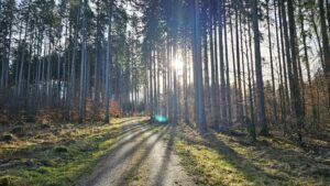 Was ist ein Brevet?