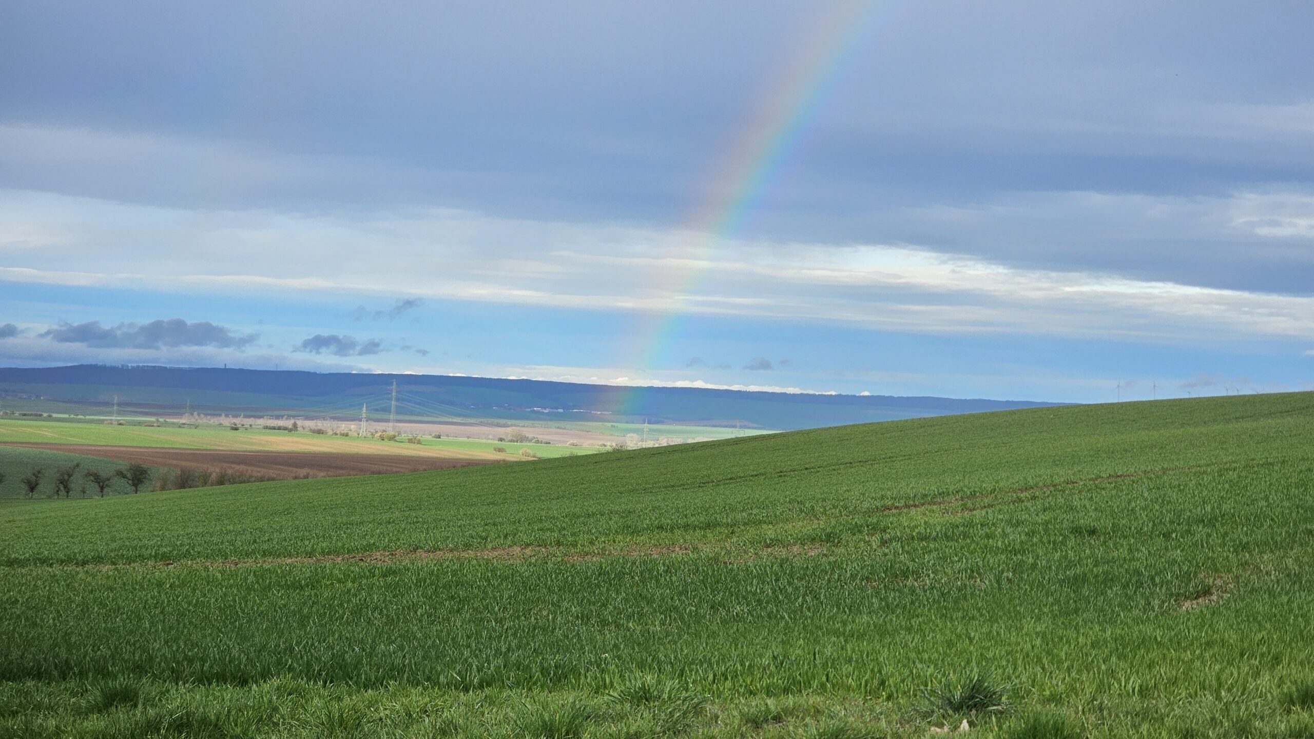 Regenbogen über grünen Feldern in Thüringen