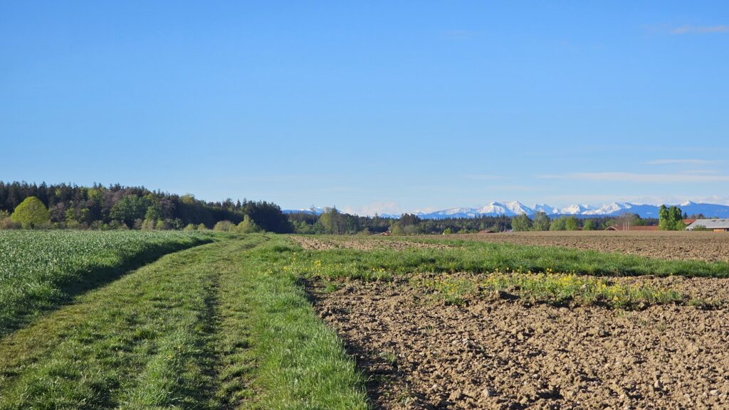 Feldweg am Acker mit verschneiten Alpen am Horizont