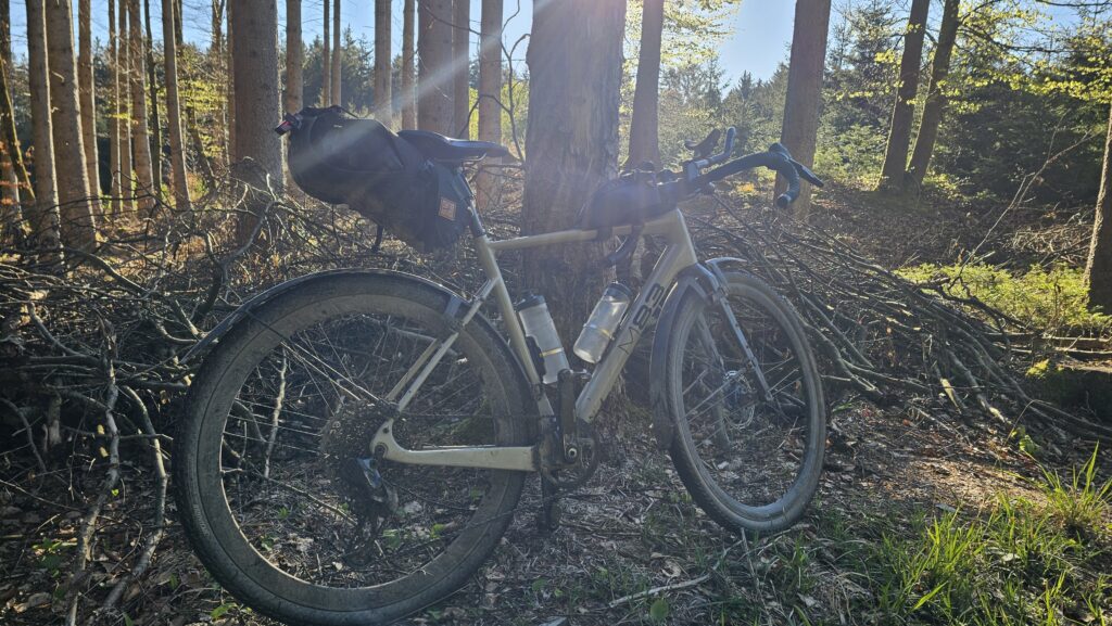 Bepacktes Gravelbike an einem Baum im Wald im Gegenlicht