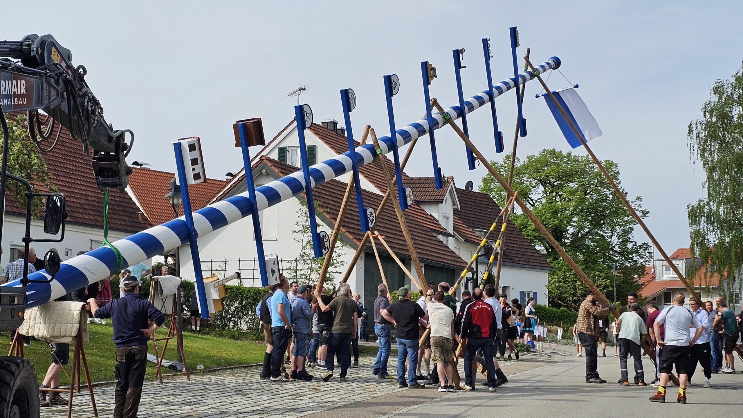 Aufstellen eines weiß-blauen Maibaums mit Zuschauern im Dorf