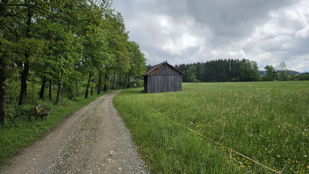 Schotterweg am Waldrand mit Holzstadel auf der Wiese