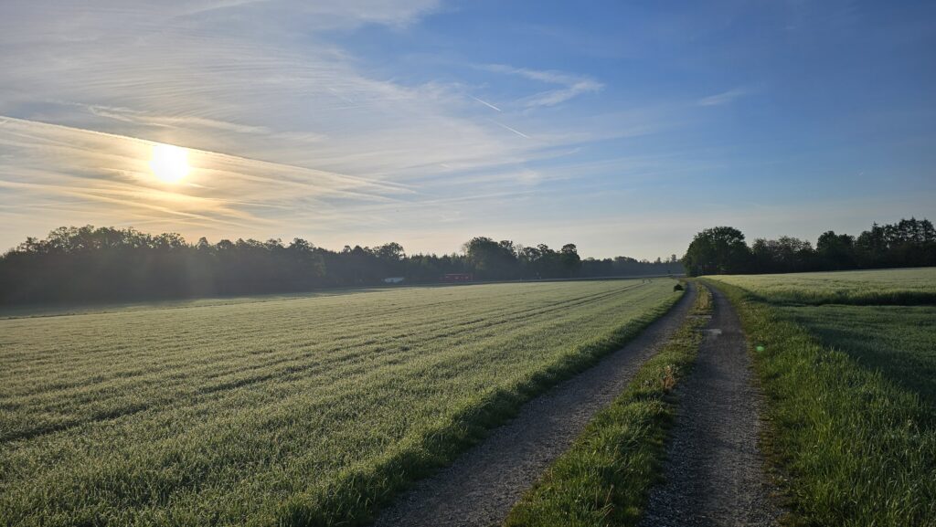 Feldweg zwischen Wiesen im Morgenlicht im Münchner Südosten