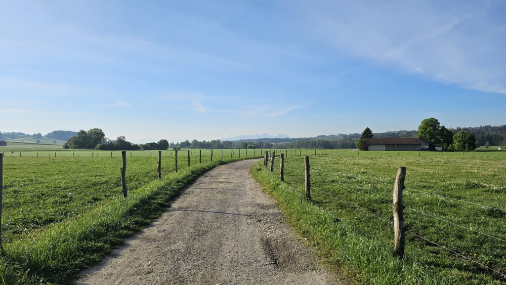 Schotterweg mit Weidezaun durch grüne Wiesen