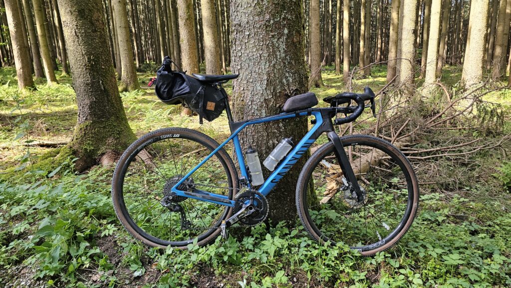 Blaues Canyon Grail Gravelbike an einem Baum im Fichtenwald