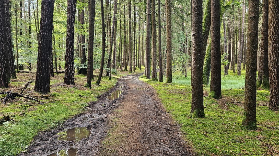 Graveltour in den Münchner Osten