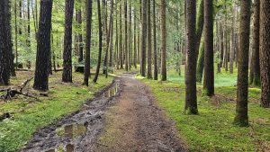 Graveltour in den Münchner Osten