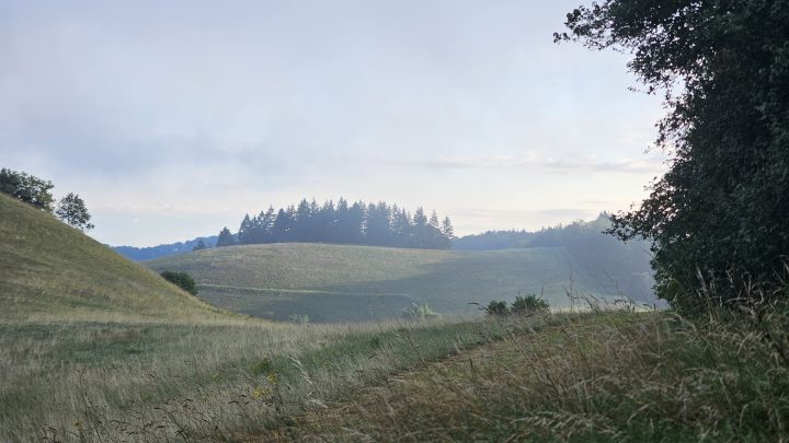 Naturerlebnis am Kaiserstuhl: Eine Nordic Walking Tour der Extraklasse