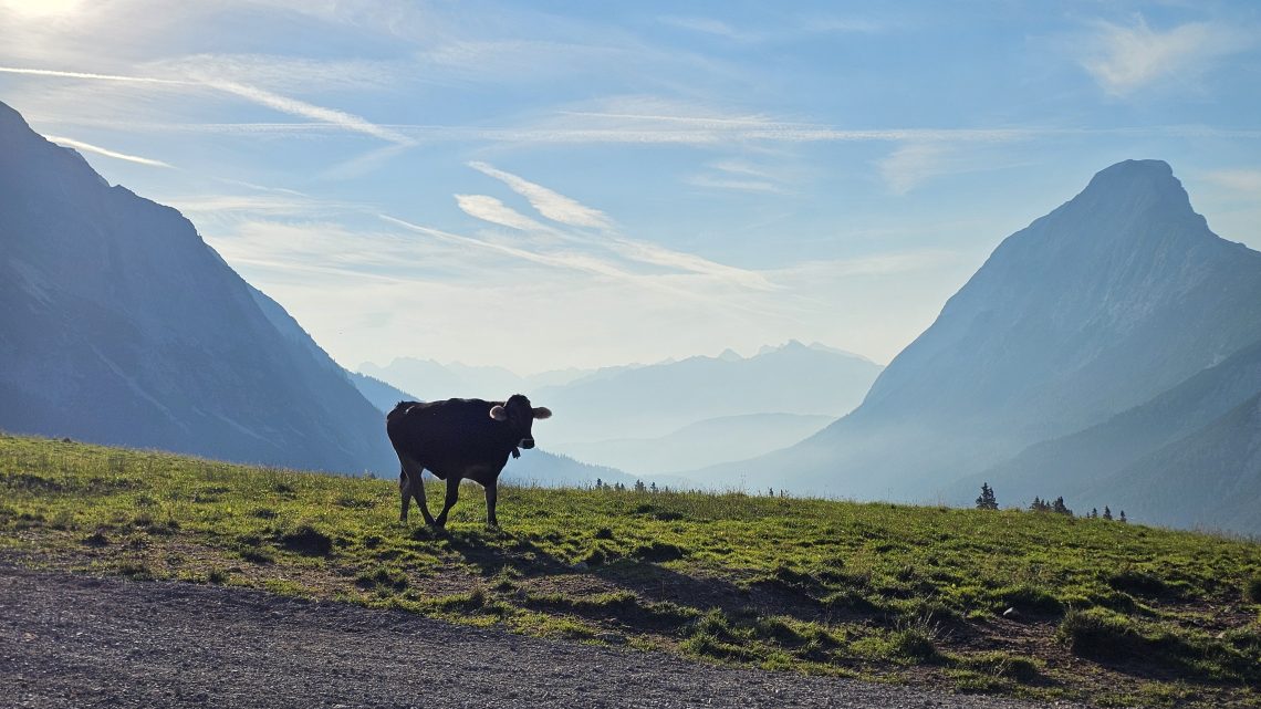 Von Ehrwald bis zum Gipfel: Eine unvergessliche Wanderung auf die Zugspitze