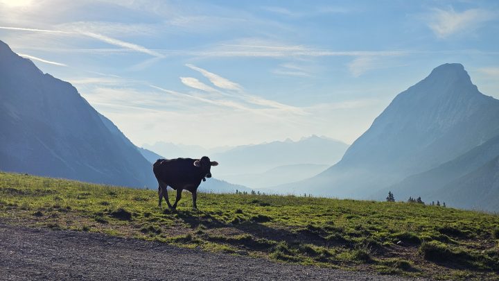 Von Ehrwald bis zum Gipfel: Eine unvergessliche Wanderung auf die Zugspitze