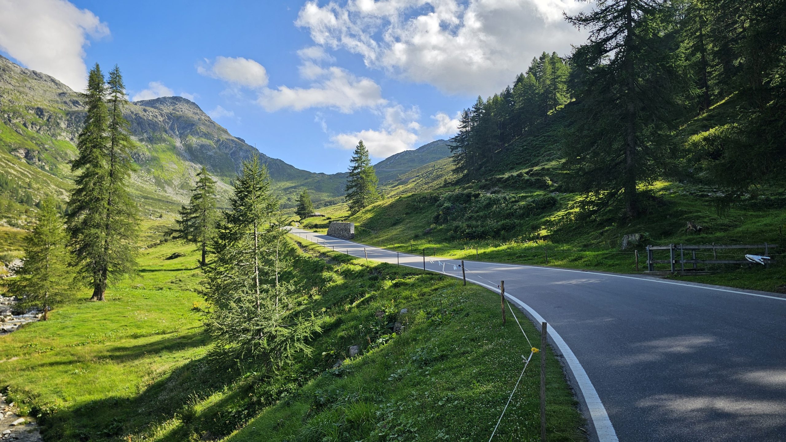 Kurvige Passstraße durch Almwiesen und Lärchen in den Alpen