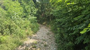 Gravelbike-Tour von Montorfano nach Mailand: Ein Erfahrungsbericht