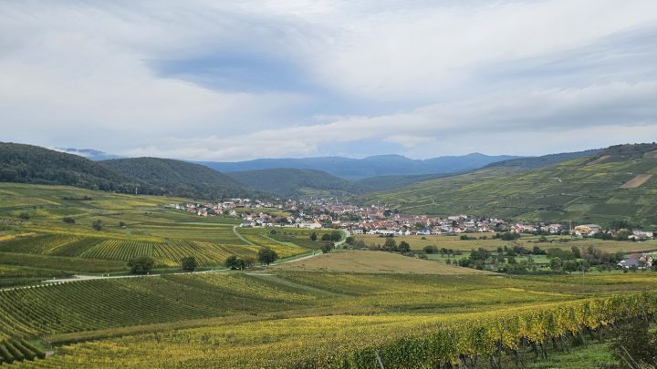 Meine erste Gravel Rallye: Durch den Kaiserstuhl und das Elsass
