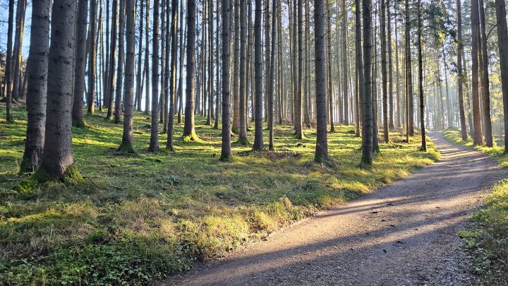 Mit dem Gravelbike im Münchner Norden: Eine Tour zwischen Frost und Matsch
