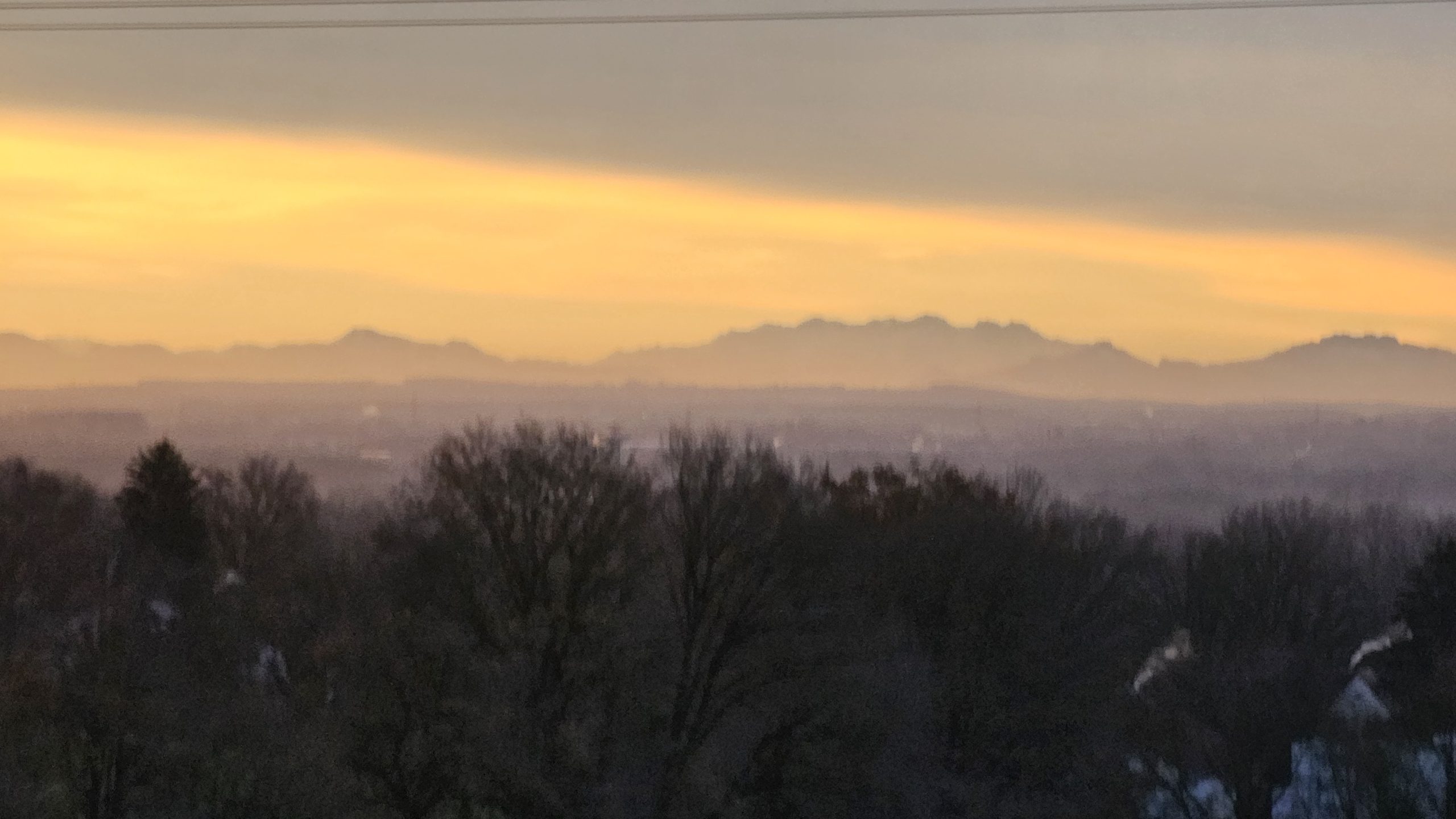 Blick über Bäume auf Dunst und Alpenkette bei Sonnenaufgang