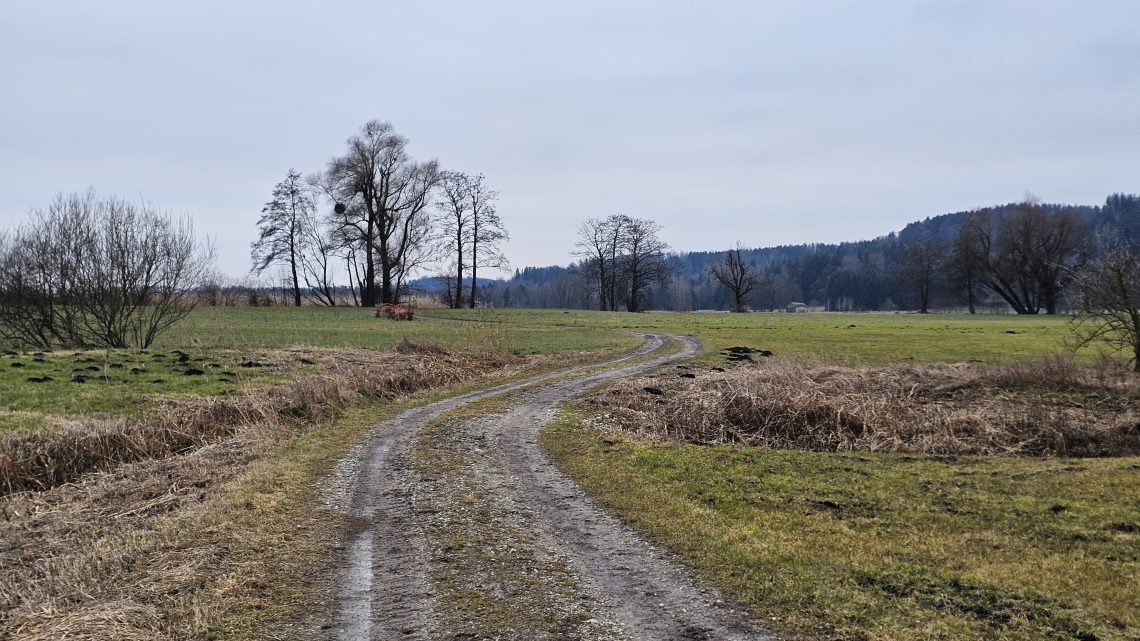 129 km durch den Münchner Osten: Kälte, Nässe und eine Überraschung am Acker