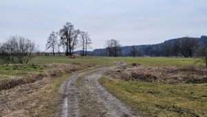 129 km durch den Münchner Osten: Kälte, Nässe und eine Überraschung am Acker