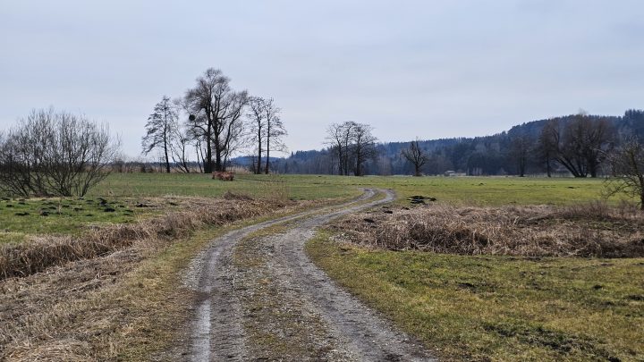 129 km durch den Münchner Osten: Kälte, Nässe und eine Überraschung am Acker
