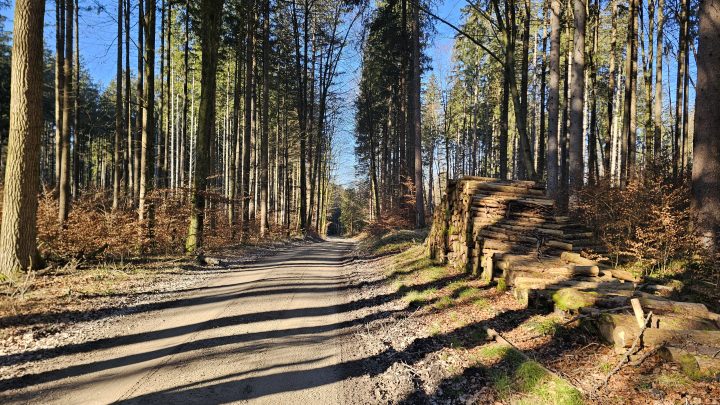 Frühe Wintertour in den Münchner Südosten: 120 km durch die Kälte