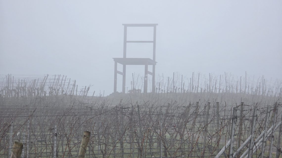19km Wanderung vom Kaiserstuhl zum Altrhein und zurück