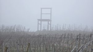 19km Wanderung vom Kaiserstuhl zum Altrhein und zurück