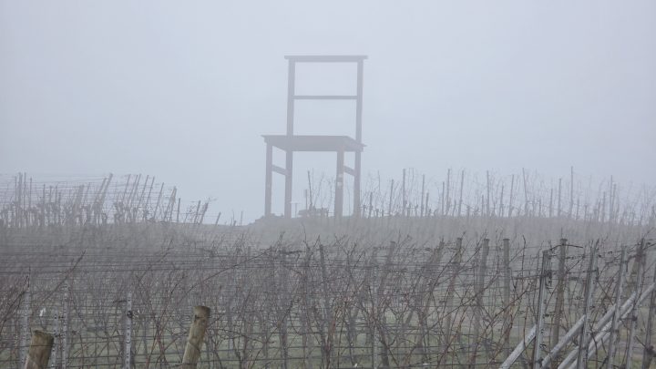 19km Wanderung vom Kaiserstuhl zum Altrhein und zurück