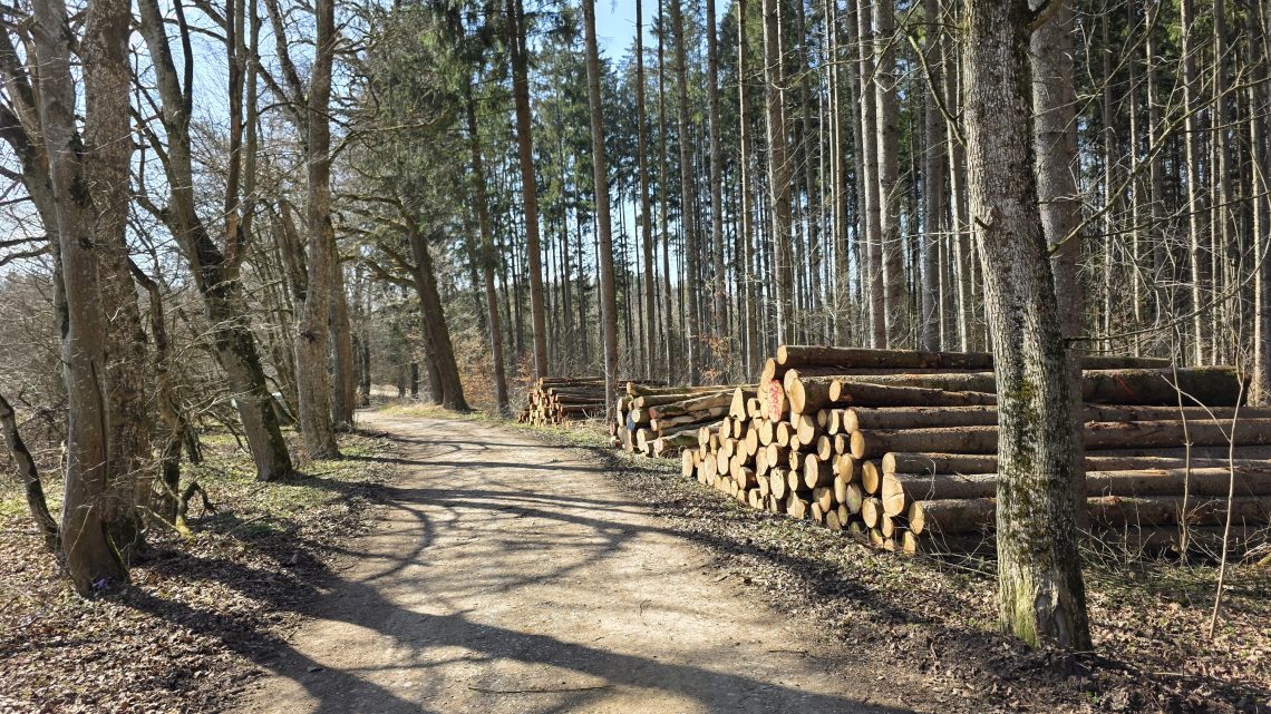 Wanderung von Germering nach Kaltenberg: 35 km bei Sonnenschein und müden Füßen