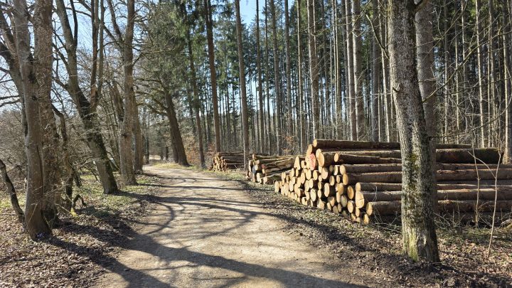 Wanderung von Germering nach Kaltenberg: 35 km bei Sonnenschein und müden Füßen