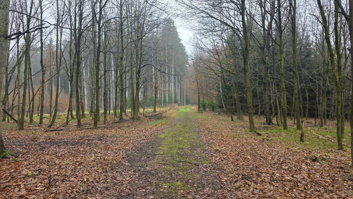 Graveltour nach Erding: Regen, Schlamm und endlich wieder unterwegs