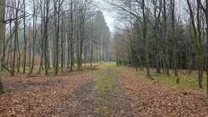 Graveltour nach Erding: Regen, Schlamm und endlich wieder unterwegs