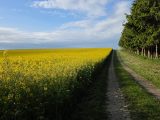 Gravel-Trip München–Augsburg und zurück