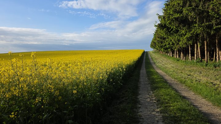 Gravel-Trip München–Augsburg und zurück