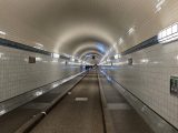 Von der Heide in die Großstadt: Ein epischer Ritt von Asendorf nach Neumünster