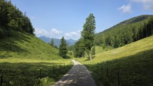 Bergauf zum Schliersee und Panorama am Tegernsee: Eine bayerische Gravel-Runde