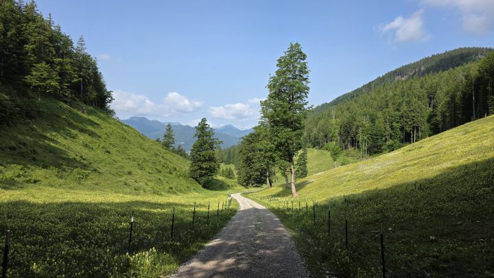 Bergauf zum Schliersee und Panorama am Tegernsee: Eine bayerische Gravel-Runde