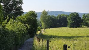 Von Seen und Landstraßen: Auf dem Gravelbike zum Familienurlaub im Allgäu