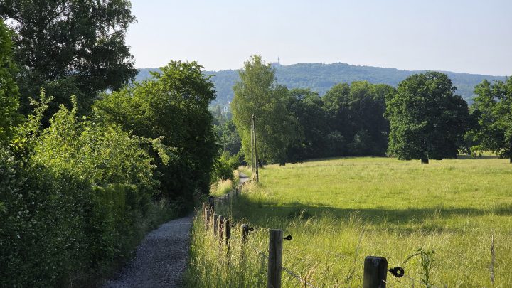 Von Seen und Landstraßen: Auf dem Gravelbike zum Familienurlaub im Allgäu