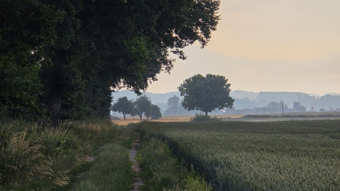 Morgendliche 120 km: Durch die Stille der Isarauen