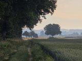 Morgendliche 120 km: Durch die Stille der Isarauen
