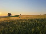 Früher Vogel fängt den Fuchs: Eine magische Gravel-Runde im Morgengrauen