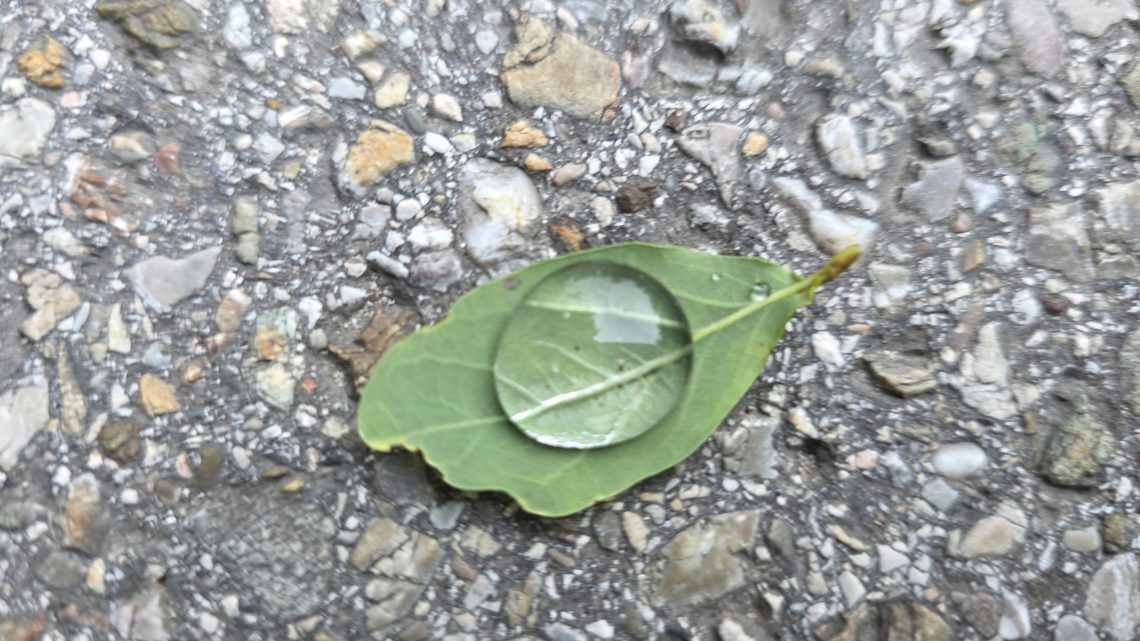 Schlammschlacht im Norden: 120 Kilometer Gravel-Abenteuer