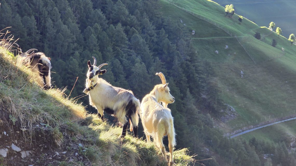 Jahresrückblick 2025: Schlamm, Schweiß und Glücksmomente – Mein Jahr Outdoor