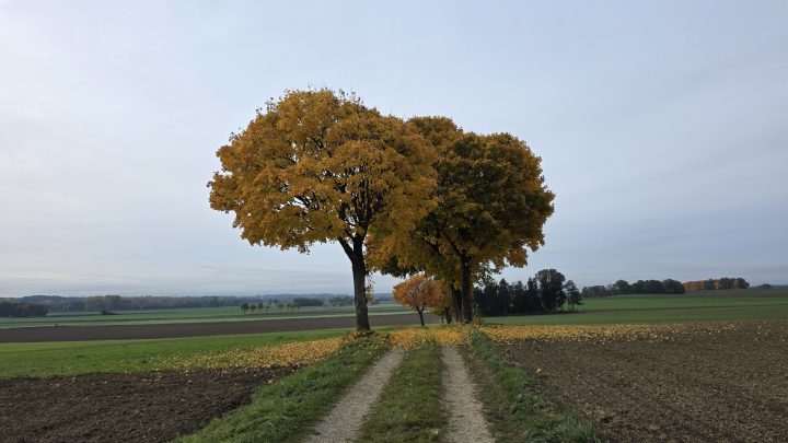 Im Morgengrauen des Waldes: Gravel-Tour mit Gruselfaktor und Matsch