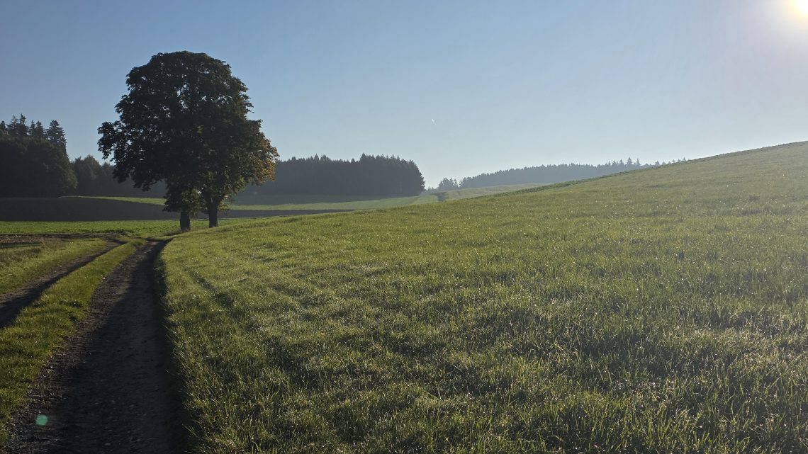 Frostiger Auftakt im Wald: Gravel-Tour mit Hindernissen